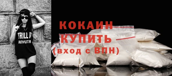 крисы Дмитров